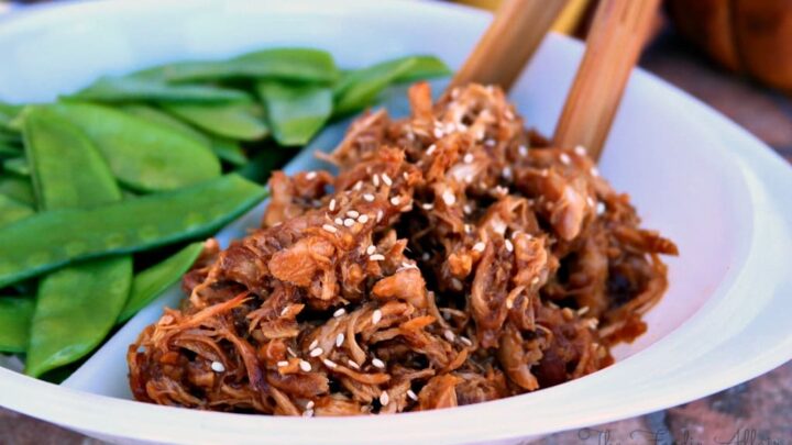 Honey Garlic Shredded Chicken Recipe The Foodie Affair