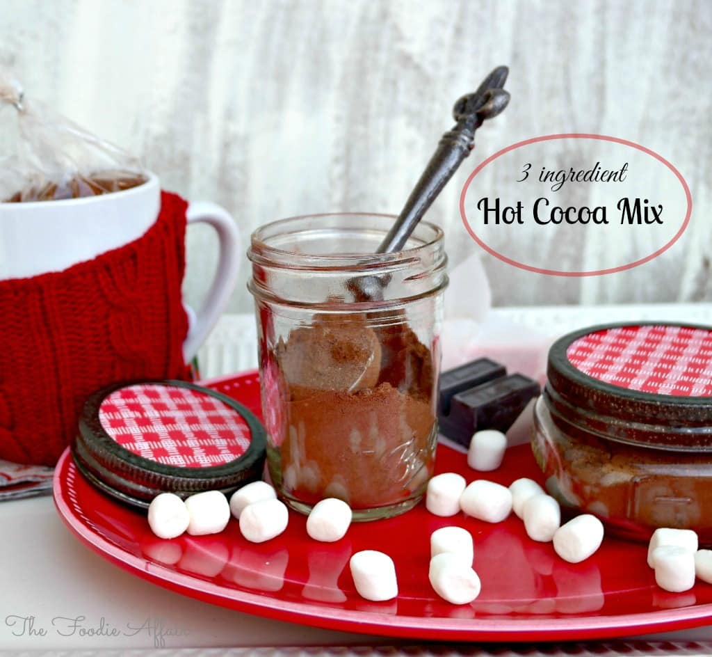 Hot Cocoa Mix Recipe Three Ingredients The Foodie Affair
