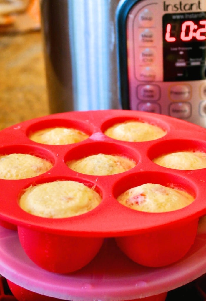 Easy Instant Pot Egg Bites - The Foodie Affair