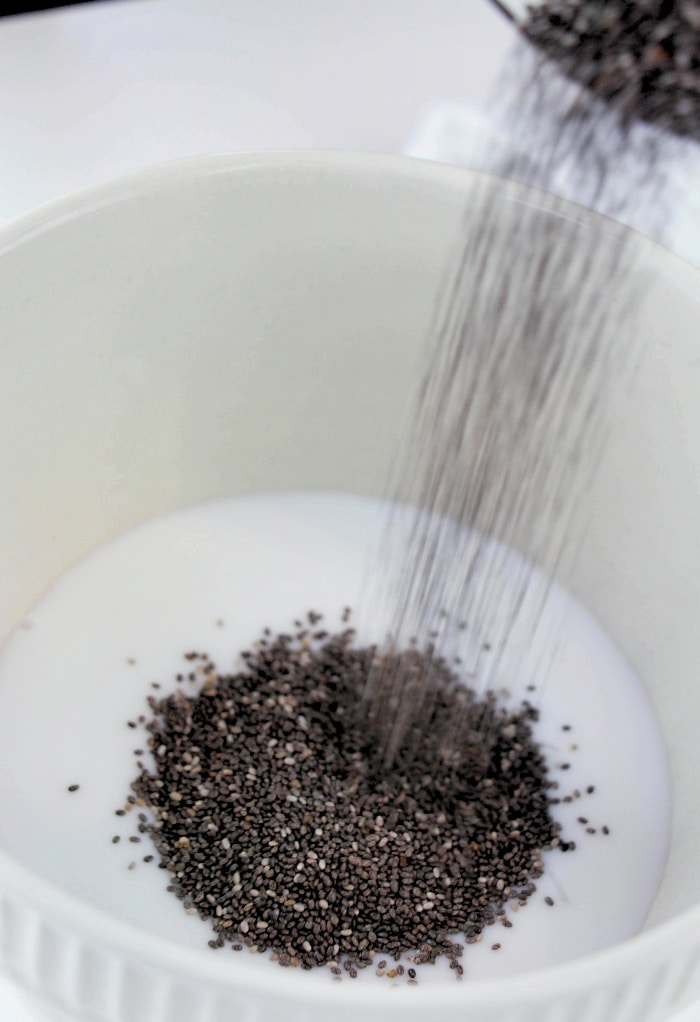 Here we see chia seeds being added to coconut milk in a white mixing bowl. 