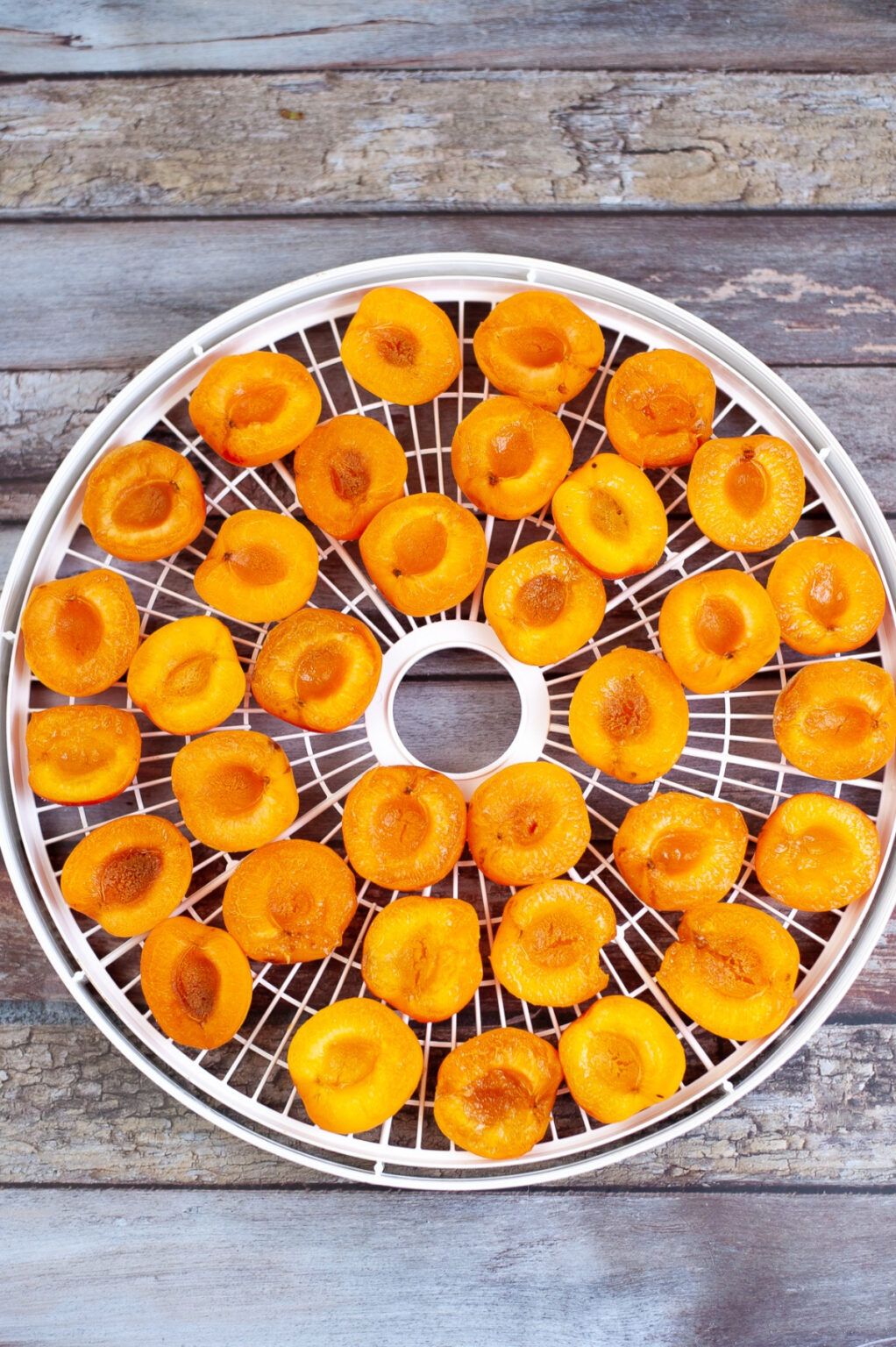 How To Dehydrate Apricots In A Dehydrator The Foodie Affair 9643