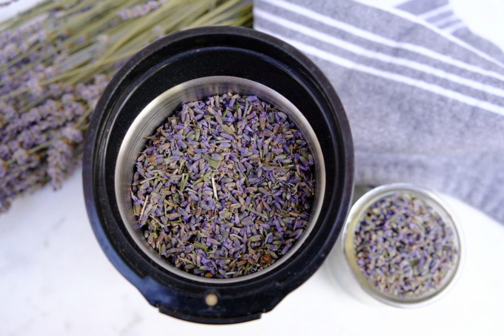 Lavender buds in a spice grinder.