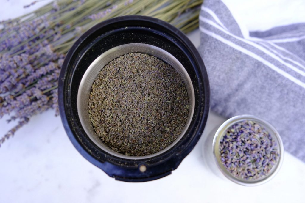 Ground lavender buds in a spice grinder.